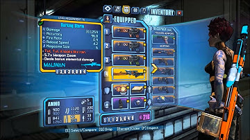 Borderlands 2 modded Items after update
