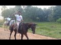 Kpa memories horseriding