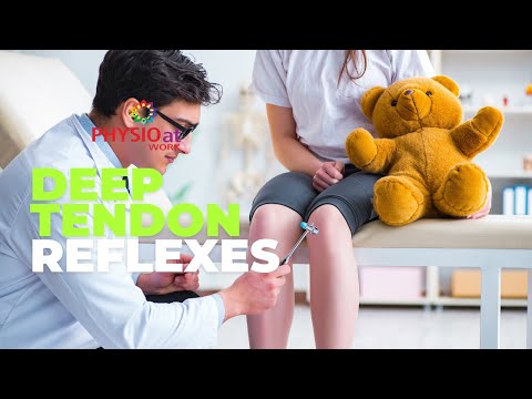 Deep Tendon Reflexes