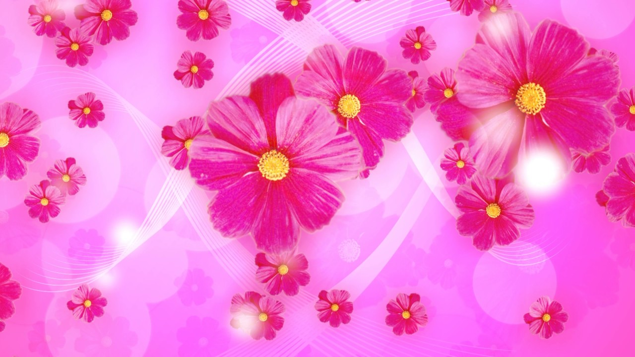 Flower - YouTube