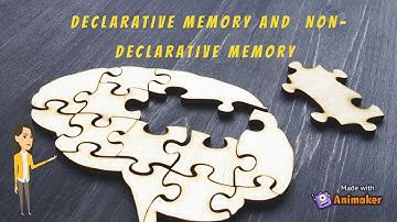 DECLARATIVE MEMORY AND NON-DECLARATIVE MEMORY