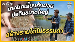 เทคนิคเลี้ยงกุ้งฝอยพ่อแม่พันธุ์ บ่อดินขนาดใหญ่ สร้างรายได้ไม่ธรรมดา | เกษตรสัญจร