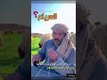 طريقة تدريب مرياع الغنم 