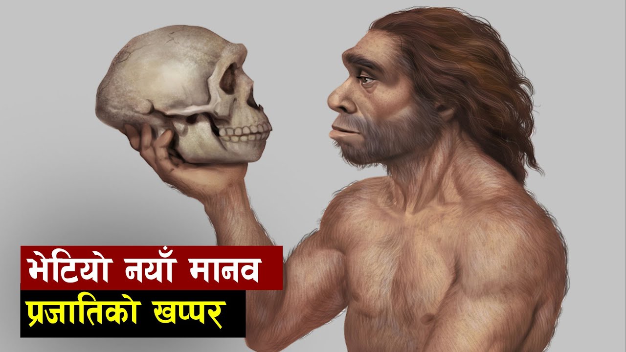 आखिर भेटिएको नयाँ खप्पर कसको हो New human species skull found in