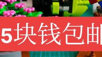 5块钱包邮的国产积木小场景moc。#积木moc #乐高moc