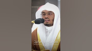 تلاوة خاشعة بصوت الشيخ ياسر الدوسري إمام الحرم المكي #viralshort #yasseraldossary #اكسبلور #gaza