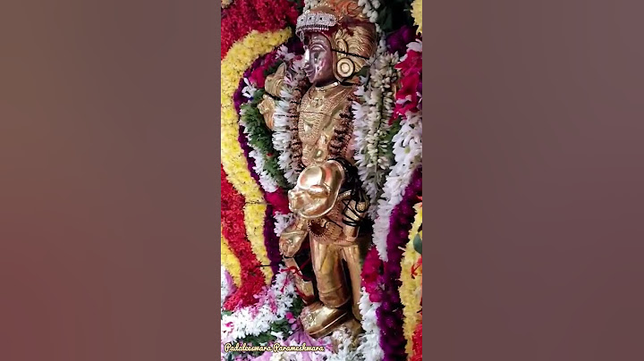 திருவண்ணாமலை கார்த்திகை #தீபத்திருவிழா ஶ்ரீ #பிட்சாண்டவர் உற்சவம் #KarthigaiDeepam #Pichandavar