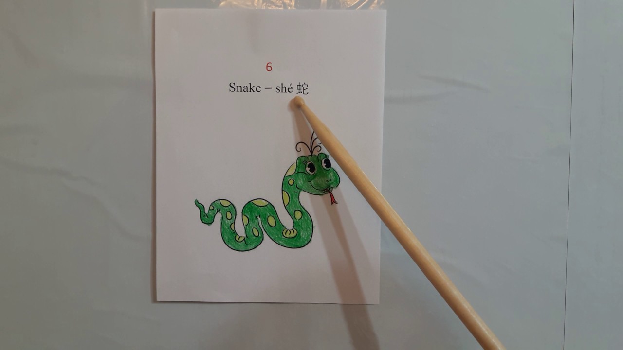 How To Say Snake In Mandarin Chinese Chinese Zodiac Animal YouTube
