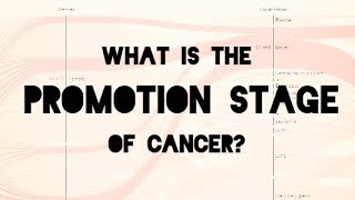 What is the Promotion Stage of Cancer?
