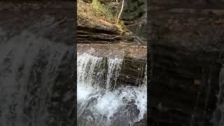 Machine Falls, Short Springs Natural Area, Tullahoma, TN (Video FOUR of SEVEN)