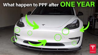 Tesla Model 3 PPF after 1 Year / Watch this before you get PPF for your Tesla #tesla #ppf #xpel