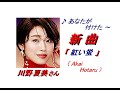 川野夏美さんの新曲｢紅い蛍(Akai Hotaru)(一部歌詞付)｣'23/01/11発売新曲報道ニュースです。