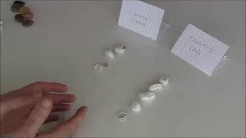 Mike Campbell Minimization