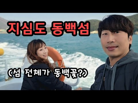 거제도 현지인이 직접 체험해 본 천혜의 자연경관 지심도 동백꽃 트래킹을 소개합니다