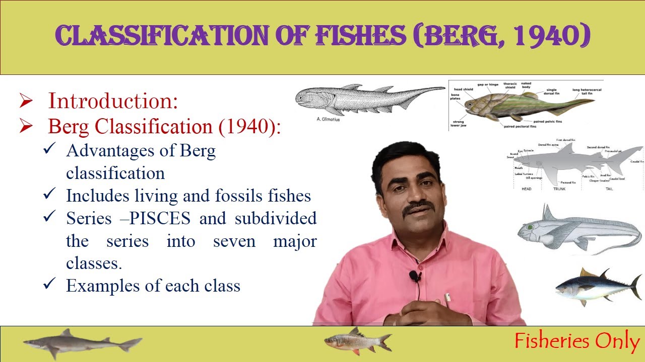 CLASSIFICATION OF FISHES (BERG, 1940) 