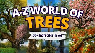 50+ Amazing Trees from A to Z 🌳 | Fascinating Facts, Nature Documentary & Tree Encyclopedia #trees
