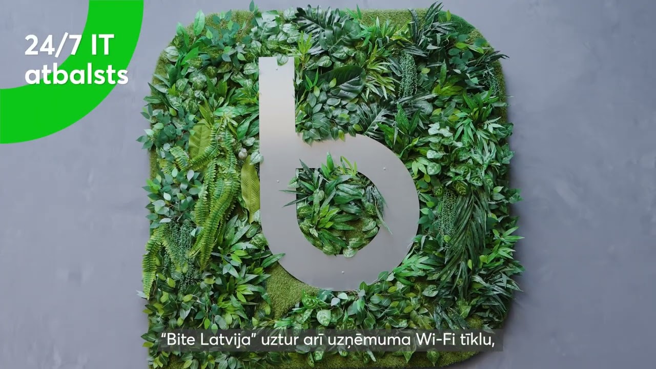 "Cita santehnika" digitālais izaugsmes stāsts