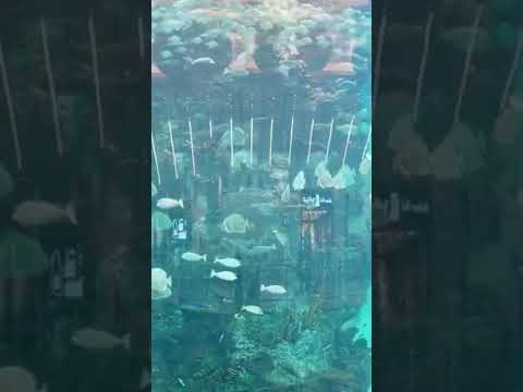 نستنا واحنا في جدة