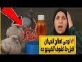 أقوى طريقة علاج ديدان الحمام خطأ قاتل ناس كتير بتعمله في استخدام الشيح 