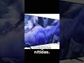 Smart TV Samsung Vision AI TV 43 Polegadas QLED Ultra 4K 2025 QEF1