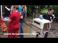 Animals Seized In Santa Fe Texas