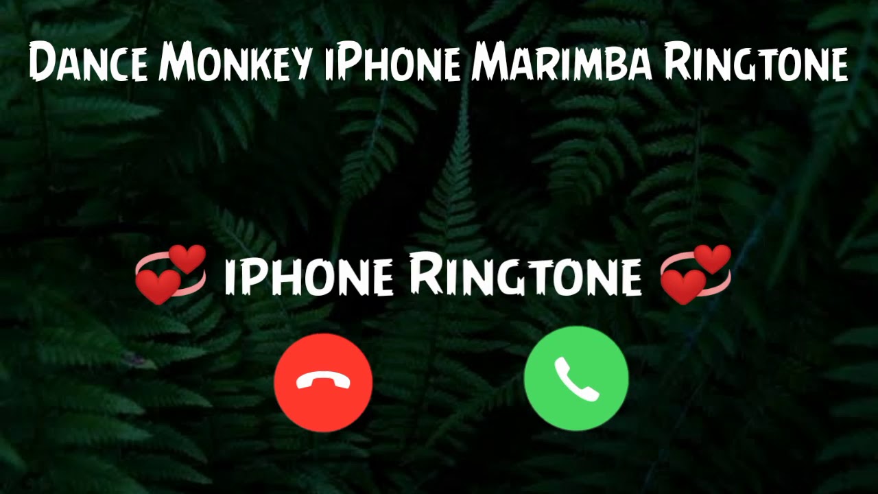 Dance Monkey iPhone Marimba Ringtone Download ⬇️