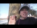 Maple tapping don'ts for beginners