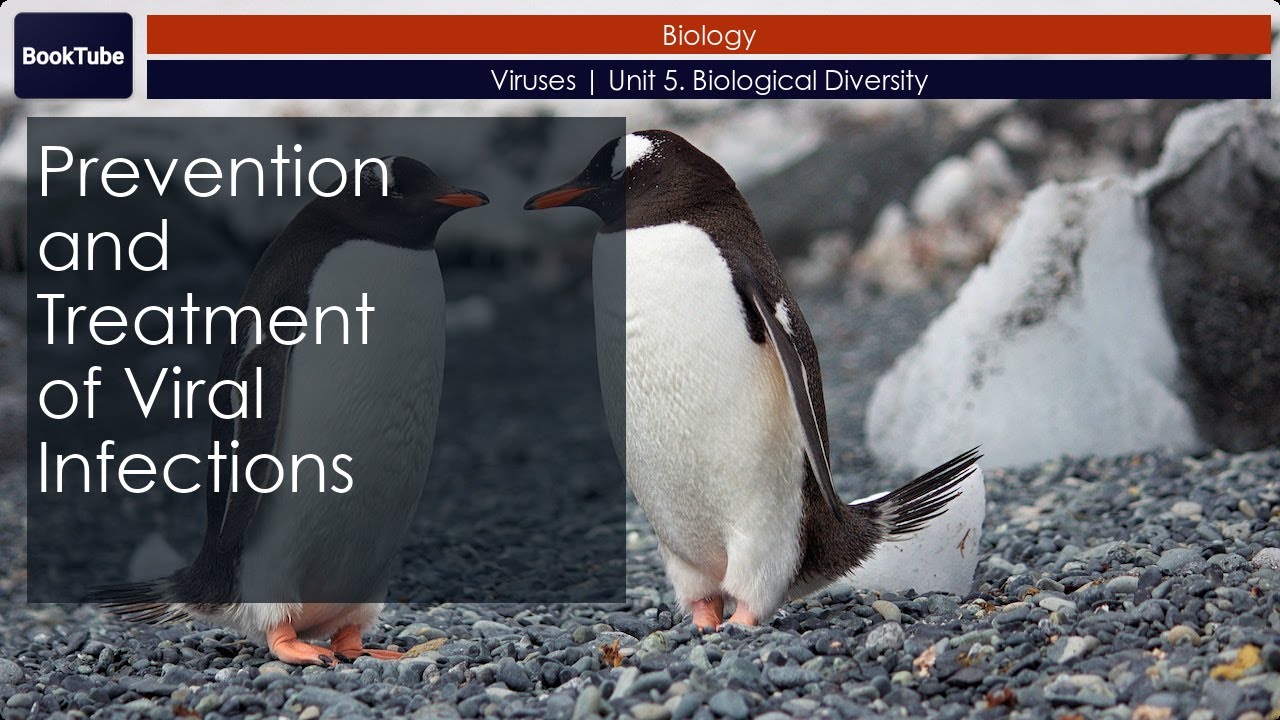 Prevention and Treatment of Viral Infections | Viruses | Unit 5 ...