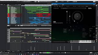 Playful Cat | BBC Symphony Orchestra Professional Demo Track #oneorchestra