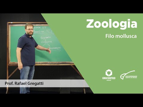 Vídeo: O que é detorsão em zoologia?