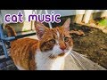 🔴INSTANT SLEEP MUSIC - 15 HOURS of Soothing Feline Melodies.