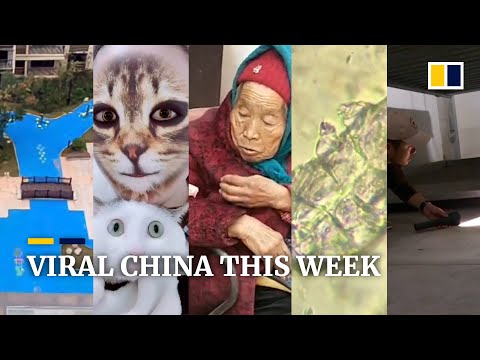 Viral China this week: 84-year-old granny still gets candy from her mum, and more