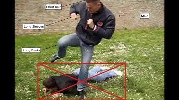 Real-world Image Recognition for Multiple Human Attributes