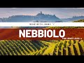 Grape Varieties - Nebbiolo Intermediate Version ideal for WSET L2