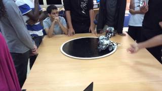 IMG 3910