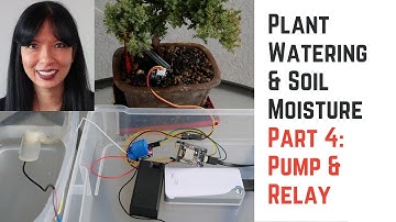 House Plant Monitoring and Watering Part 4: Relay & Pump ESP8266