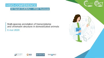 [CAS] : Multi-species annotation of transcriptome and chromatin structure in domesticated animals