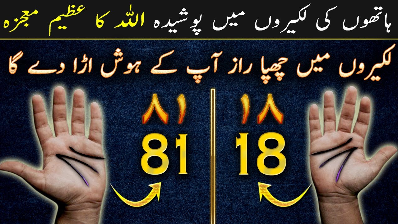 Numerical Miracles of Allah in Human Hands and Palms will Shock You | Ilm ul Israr