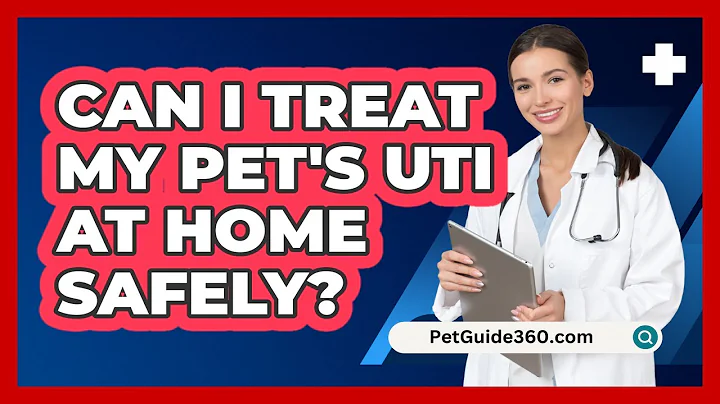 Can I Treat My Pet's UTI At Home Safely? - PetGuide360.com