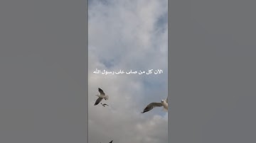 صلو على رسول الله صلى الله عليه وسلم فأن صلاتنا تصله #رسول_الله #القران #تلاوات