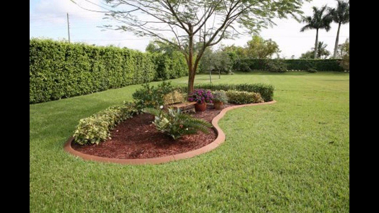 Garden borders ideas