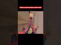 DumitruComanac SPIDER MAN ESCAPING ANGRY MOM Spiderman Mom Parkour Minecraft Comedy Pov 
