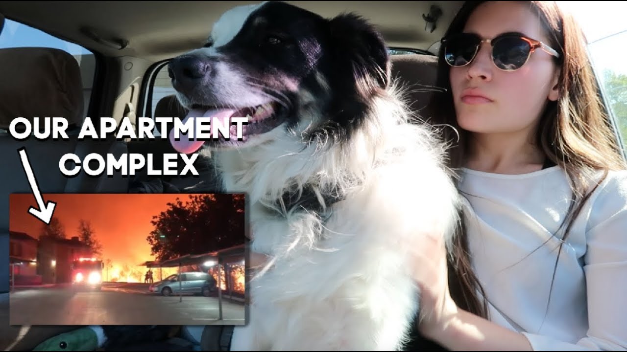 What happened during the Woolsey Fire | Evacuation vlog