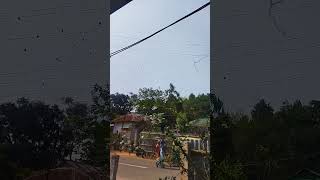 bat in daylight https://media.tenor.com/VvTsHurxDDwAAAAM/mundo-batties.gif