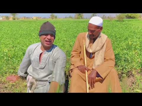 الحاج الضوى شغال خيال مقاته