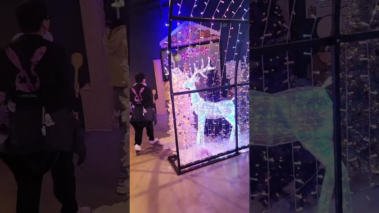 Science of Gingerbread Entrance Archway Color Changing light package, Discovery Cube OC (12/20/2025)