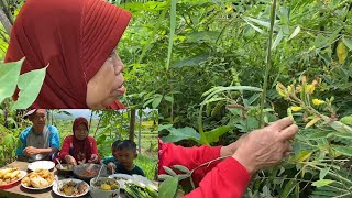 Panen Kacang Gude Hiris, Masak Sayur Asem, Pecak Hiris, Tahu Tempe Goreng Sambal Terasi Ikan Asin