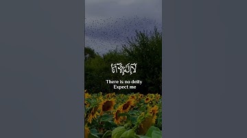 أحمد خضر سورة طه اجمل حالات واتس اب دينية 🎧😌
