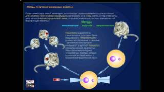 Презентация Методы генной инженерии