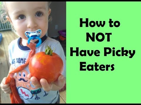 How Do You Handle Picky Eaters? - YouTube